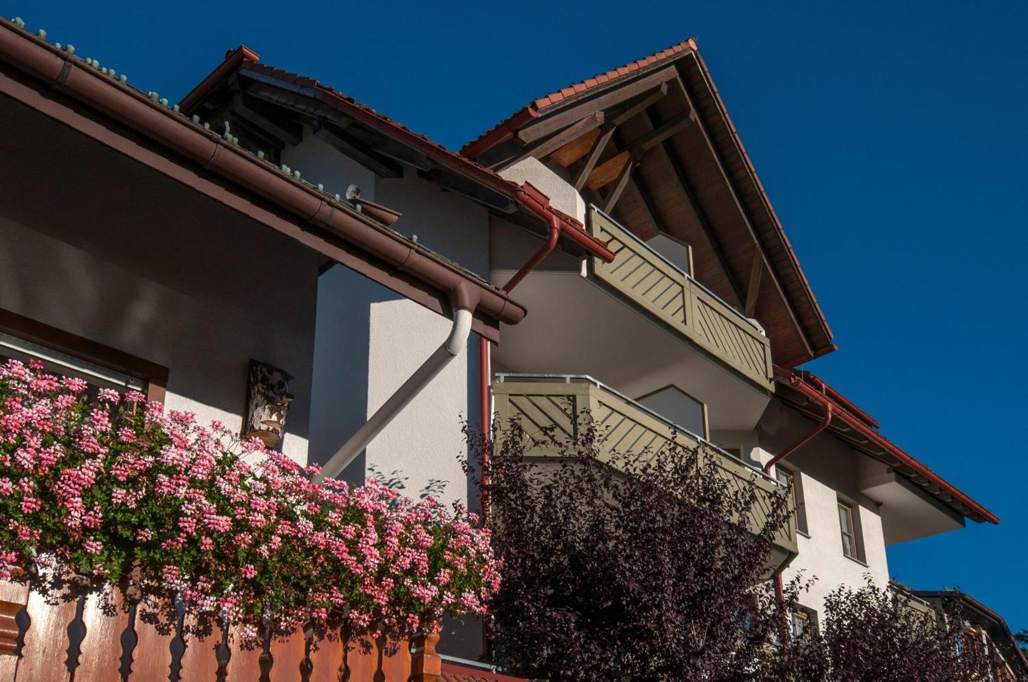 Apartment 03 - Ferienresidenz Roseneck, Mit Schwimmbad In Todtnauberg Bei Feldberg Exterior photo